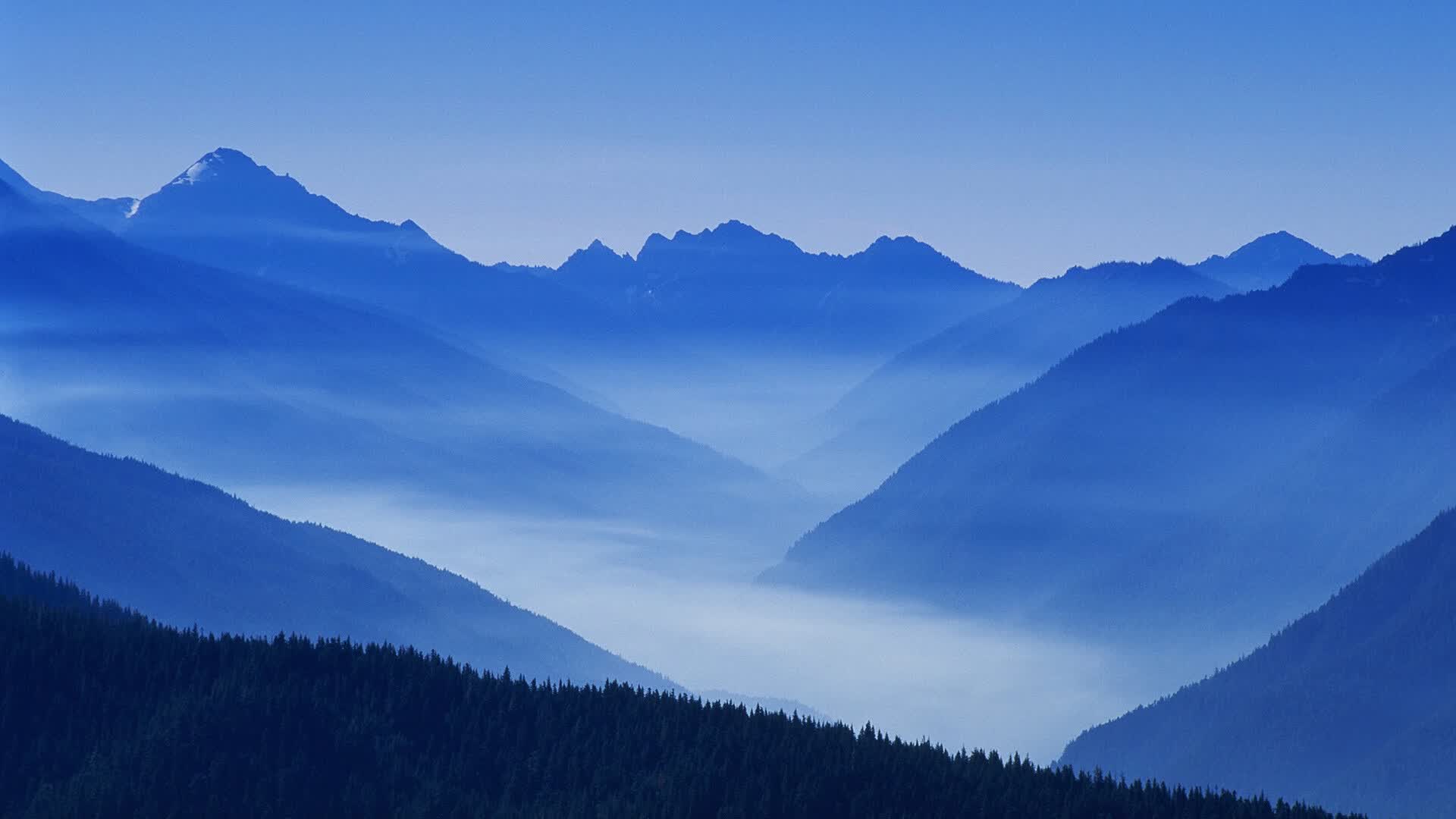 世界体操单项赛赛场康复与心理支持示范中心全国复制计划第二阶段实施方案公布