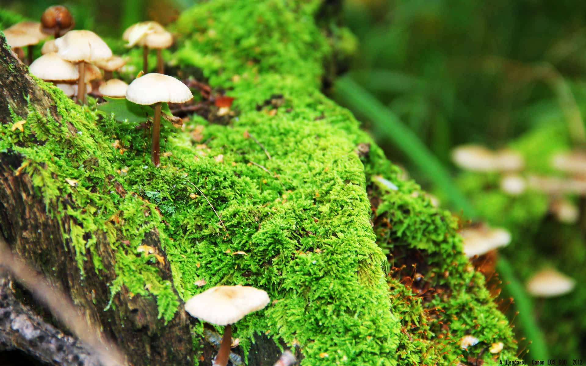 世界体能恢复公益课堂校企联合招募新一批实训基地，体能恢复中心